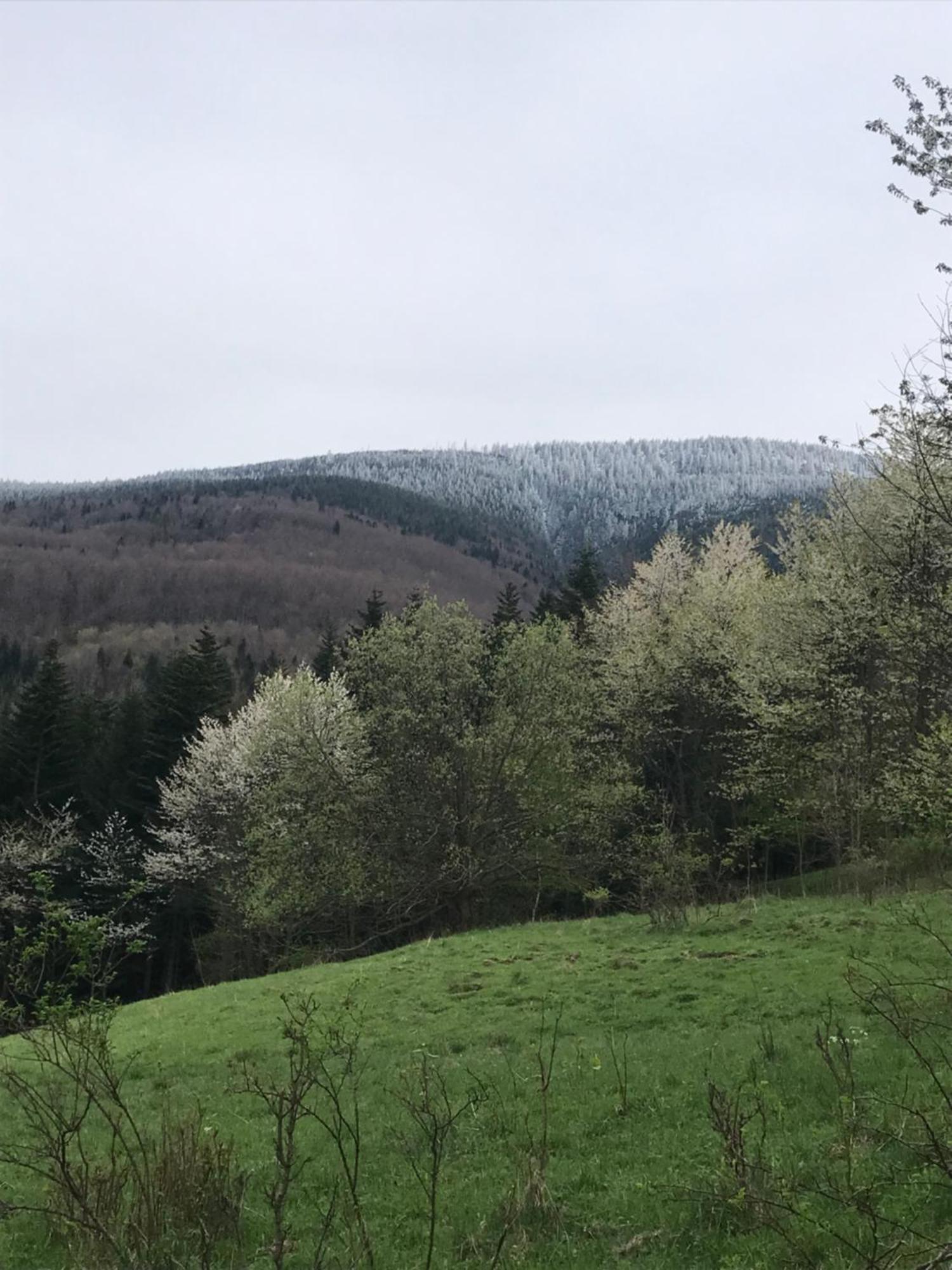 Ferienhaus Filozofa Pod Polica