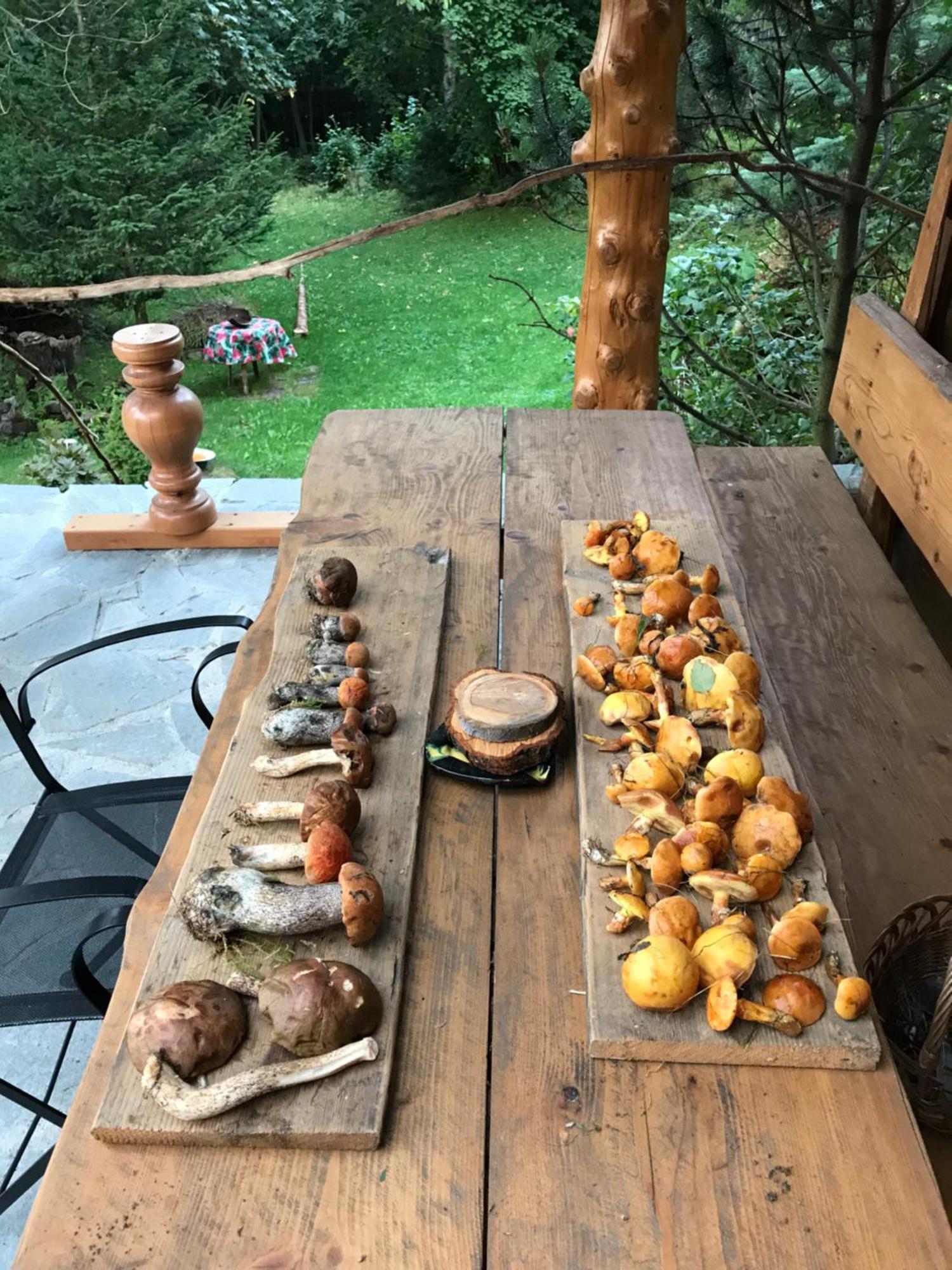 Filozofa Pod Polica Ferienhaus